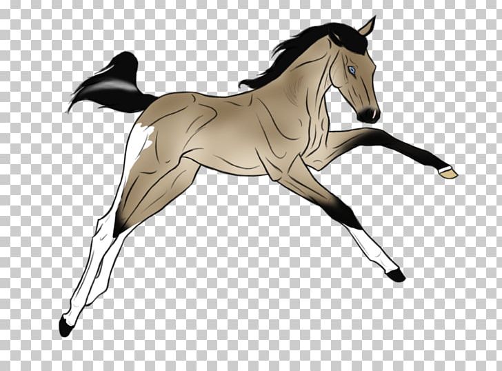 Mustang Mane Foal Stallion Colt PNG, Clipart, Colt, English Riding, Equestrian, Equestrian Sport, Fictional Character Free PNG Download