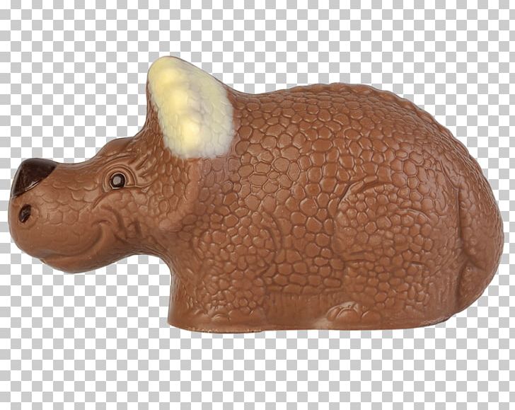 Snout Terrestrial Animal PNG, Clipart, Animal, Animal Figure, Rhinoceros Beetle, Snout, Terrestrial Animal Free PNG Download