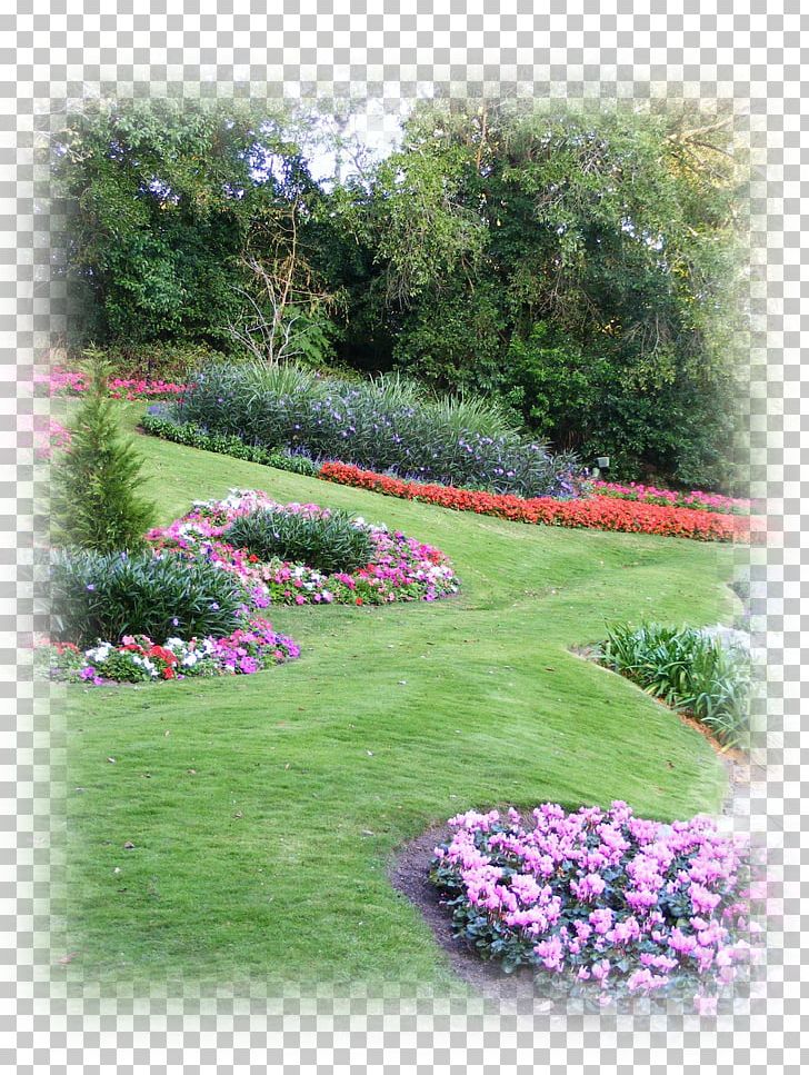 Hedge Landscaping Gardening Sod PNG, Clipart, Annual Plant, Botanical Garden, Flower, Garden, Gardening Free PNG Download