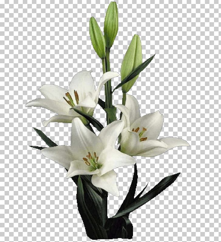 Lilium Cut Flowers Artificial Flower Floral Design PNG, Clipart, Artificial Flower, Cut Flowers, Floral Design, Floristry, Flower Free PNG Download