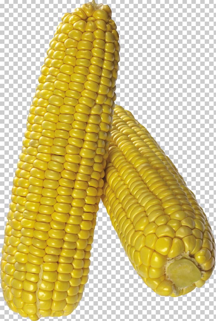 Maize Corn On The Cob Popcorn Field Corn PNG, Clipart, Cereal, Clipping Path, Commodity, Corn, Corncob Free PNG Download