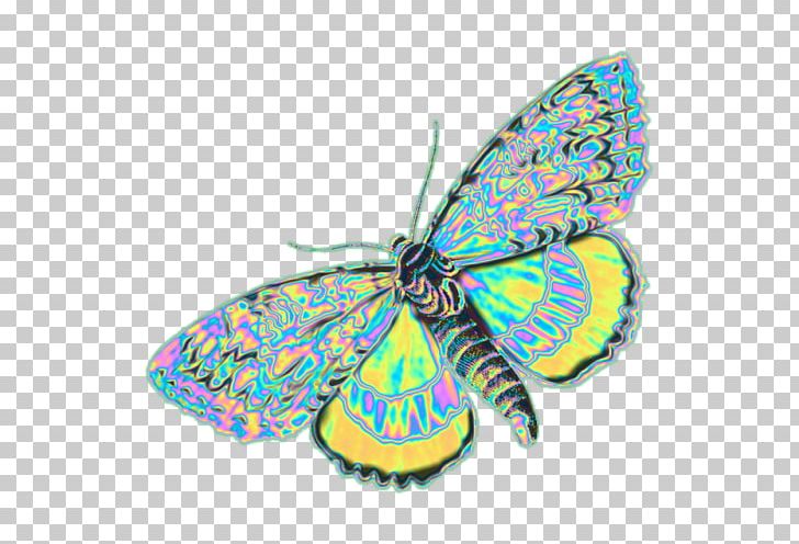 Monarch Butterfly Moth Brush-footed Butterflies PNG, Clipart, Arthropod, Brush Footed Butterfly, Bugs, Butterflies And Moths, Butterfly Free PNG Download