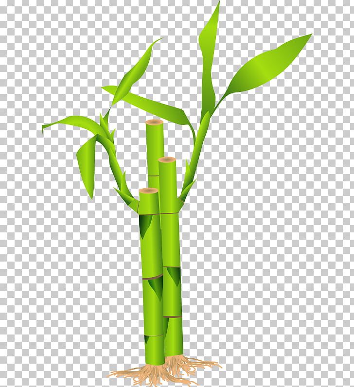 Bamboo Bamboe PNG, Clipart, Bamboe, Bamboo, Cliparts Stick Tree, Commodity, Computer Icons Free PNG Download