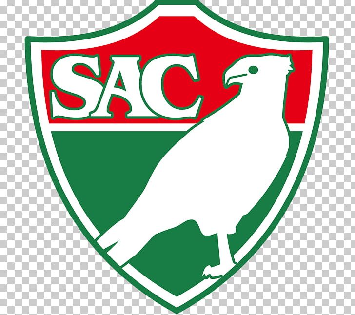 Campeonato Pernambucano Football Santa Cruz Futebol Clube Clube Do Remo Association PNG, Clipart, Area, Artwork, Association, Beak, Brand Free PNG Download