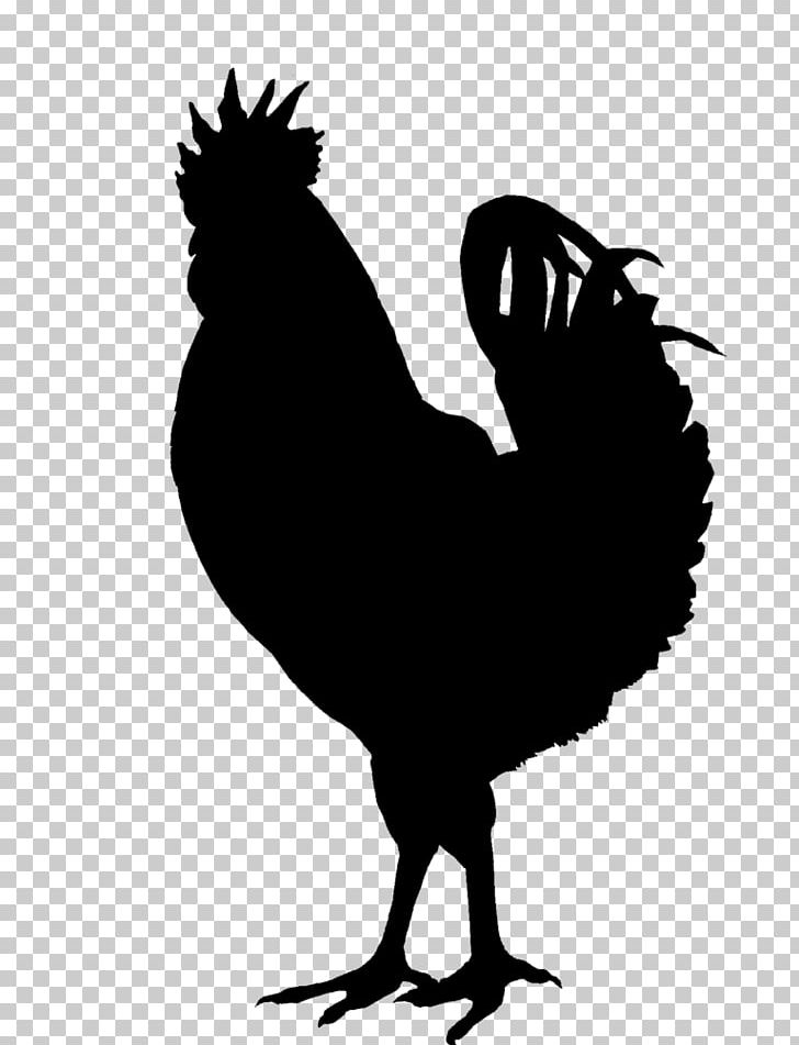 Chicken Silhouette PNG, Clipart, Animals, Beak, Bird, Black And White, Chicken Free PNG Download