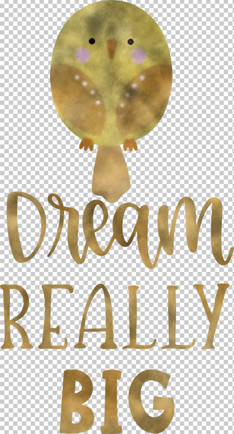 Dream Really Big Dream Dream Catcher PNG, Clipart, Dream, Dream Catcher, Meter Free PNG Download