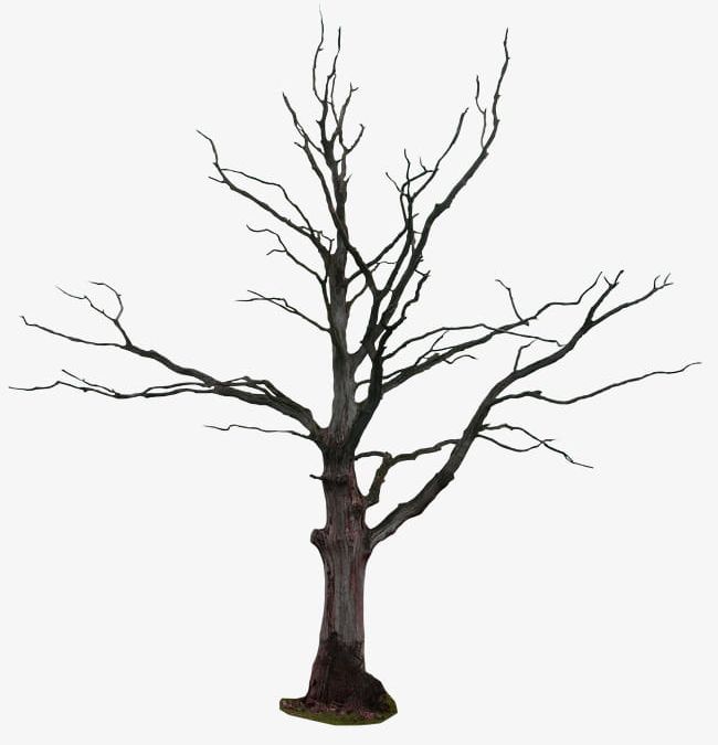 Brown Simple Tree Decoration Pattern PNG, Clipart, Brown, Brown Clipart, Dead, Dead Tree, Decoration Clipart Free PNG Download