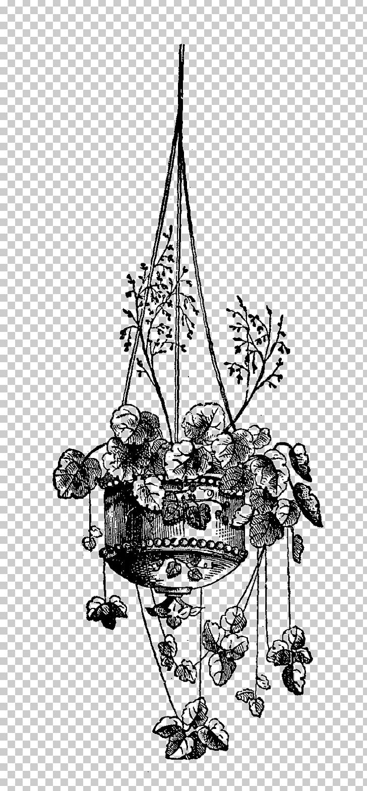 Hanging Basket Plant Drawing PNG, Clipart, Black And White, Branch, Chandelier, Clip Art, Color Free PNG Download