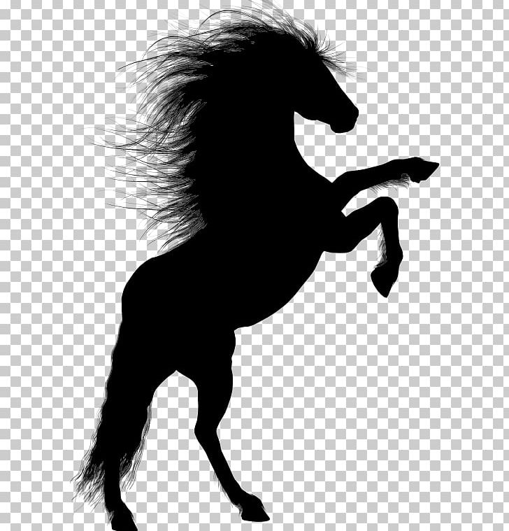 Horse Rearing Unicorn Equestrian PNG, Clipart, Animals, Black And White, Download, Drawing, Fictional Character Free PNG Download