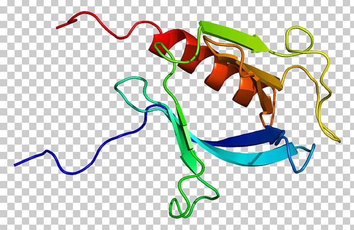 PLEKHB2 Protein Pleckstrin Homology Domain Gene PNG, Clipart, Animal Figure, Area, Artwork, Gene, Gramtrans Free PNG Download