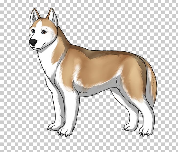 Siberian Husky Dog Breed Sakhalin Husky Shikoku Canaan Dog PNG, Clipart, Akita, Akita Inu, Ancient Dog Breeds, Breed, Carnivoran Free PNG Download