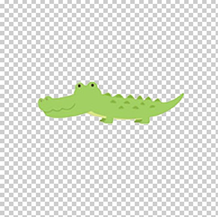 Baby Shower Party Animal PNG, Clipart, Animals, Area, Crocodil, Crocodil, Crocodile Free PNG Download