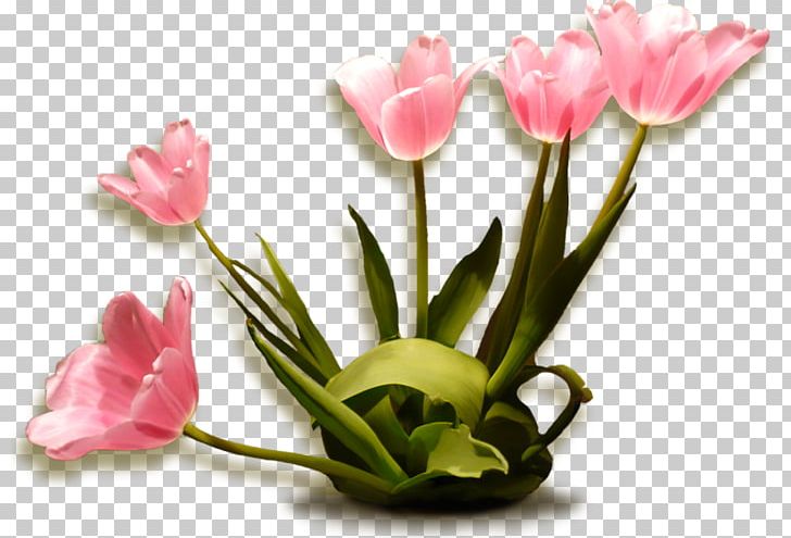 Blog PNG, Clipart, Artificial Flower, Blog, Chart, Cut Flowers, Floristry Free PNG Download