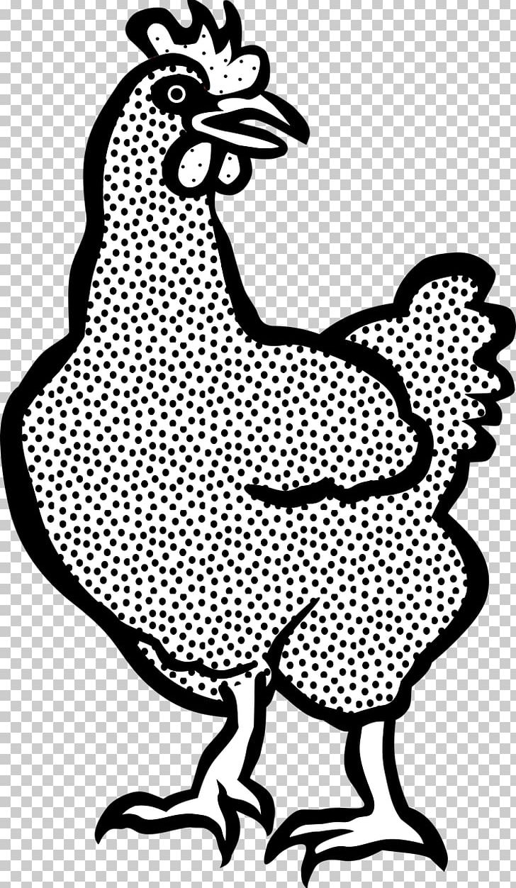 Plymouth Rock Chicken White-faced Black Spanish Rooster Drawing Hen PNG, Clipart, Area, Art, Artwork, Beak, Bird Free PNG Download