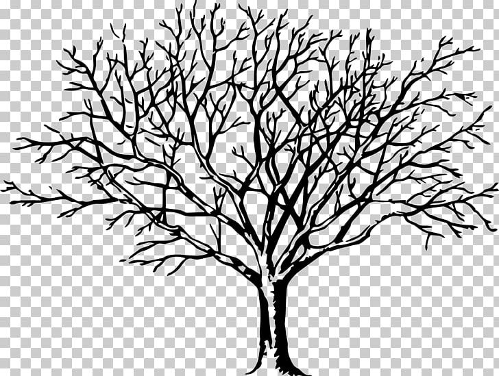 Tree Branch PNG, Clipart, Art, Artwork, Black And White, Branch, Drawing Free PNG Download