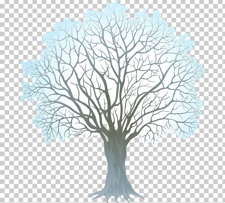 Tree Winter Branch PNG, Clipart, Blog, Branch, Oak, Organism, Plant Free PNG Download