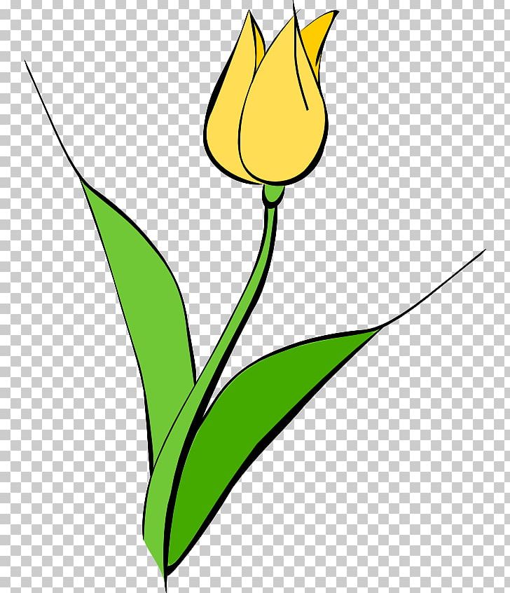Tulipa Gesneriana Yellow Flower PNG, Clipart, Area, Artwork, Download, Drawing, Flora Free PNG Download