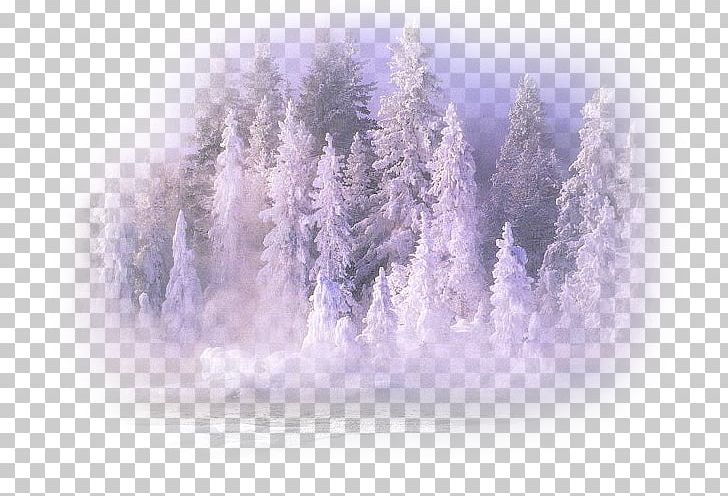 Winter Desktop Landscape Painting Diary PNG, Clipart, Autumn, Branch, Collage, Computer Wallpaper, Desktop Wallpaper Free PNG Download