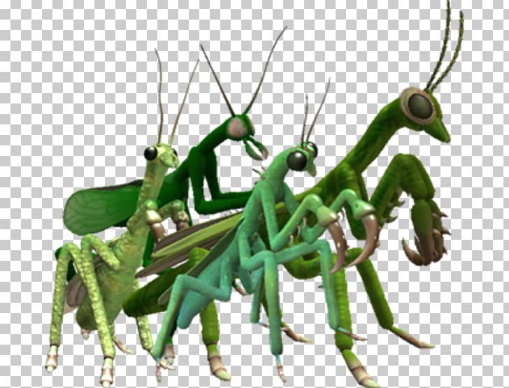 Mantis Spore Creatures Spore Creature Creator Spore: Galactic Adventures Spore Hero PNG, Clipart, Animals, Arthropod, Bulbapedia, Insect, Invertebrate Free PNG Download