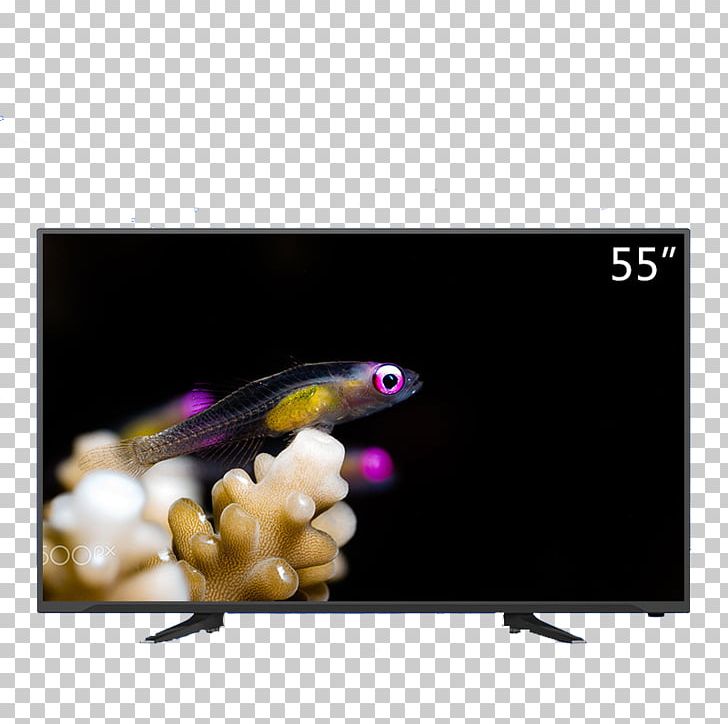 Television Liquid-crystal Display Display Device PNG, Clipart, Advertising, Copyright, Electric, Expenses, Family Free PNG Download