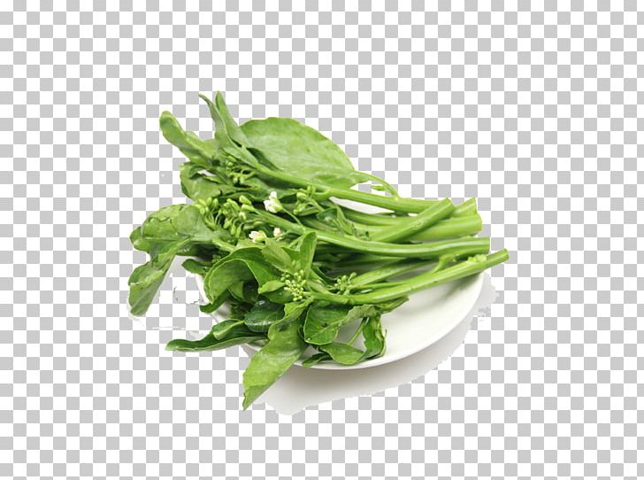Vegetable Chinese Broccoli Kale Food Spring Greens PNG, Clipart, Background Green, Broccoli, Chinese Broccoli, Choy Sum, Collard Greens Free PNG Download