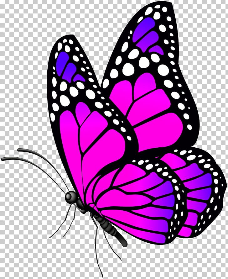 Butterfly Desktop PNG, Clipart, Artwork, Blue, Brush Footed Butterfly, Butterflies And Moths, Color Free PNG Download