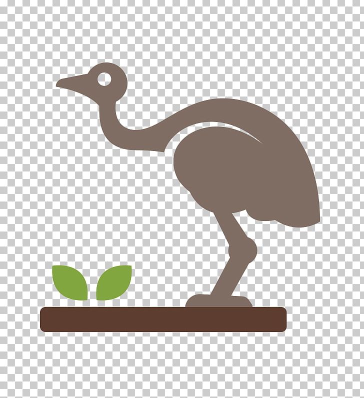 Common Ostrich Computer Icons PNG, Clipart, Animal, Beak, Bird, Common Ostrich, Computer Icons Free PNG Download