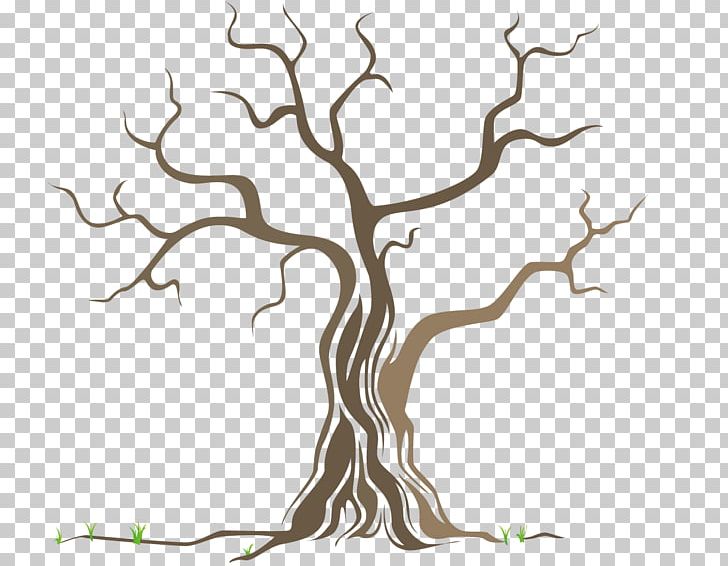 Olive Oil Tree Olive Branch Liriodendron Tulipifera PNG, Clipart, Artwork, Black And White, Branch, Chinatown, Flora Free PNG Download