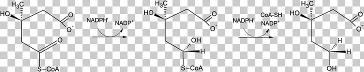 Simvastatin HMG-CoA Reductase PNG, Clipart, Angle, Aspartate Transaminase, Black, Black And White, Chemical Reaction Free PNG Download