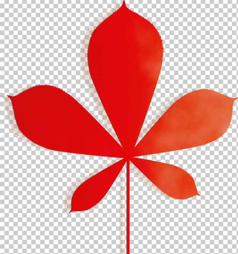 Petal Leaf Flower Plants Science PNG, Clipart, Autumn, Biology, Flower, Leaf, Paint Free PNG Download