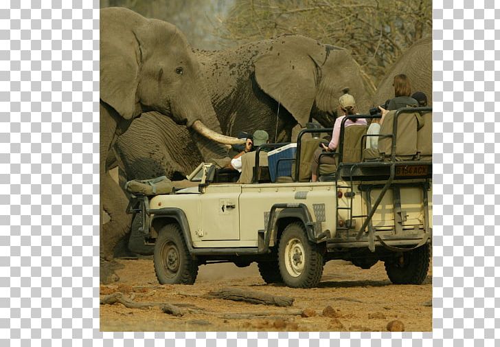 Chobe National Park Okavango Delta Makgadikgadi Pan Cuando River Victoria Falls PNG, Clipart, Adventure, African Elephant, Animal Kingdom, Automotive Exterior, Bots Free PNG Download