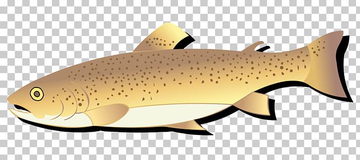 Salmon Trout 09777 Cod Animal PNG, Clipart, Animal, Animal Figure, Bony Fish, Cod, Fish Free PNG Download