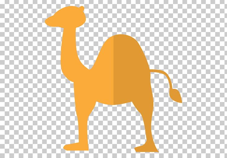 Bactrian Camel Dromedary Cartoon PNG, Clipart, Animal, Animal Figure, Animals, Bactrian Camel, Camel Free PNG Download