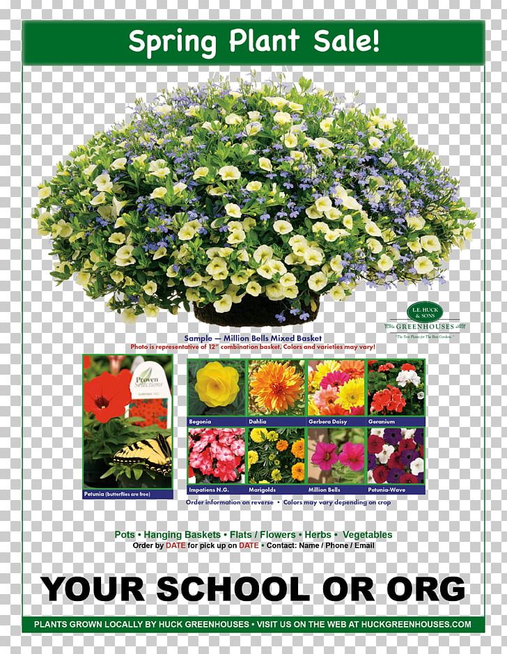 Hanging Basket Flower Plant Calibrachoa Garden PNG, Clipart, Advertising, Annual Plant, Calibrachoa, Color, Container Garden Free PNG Download