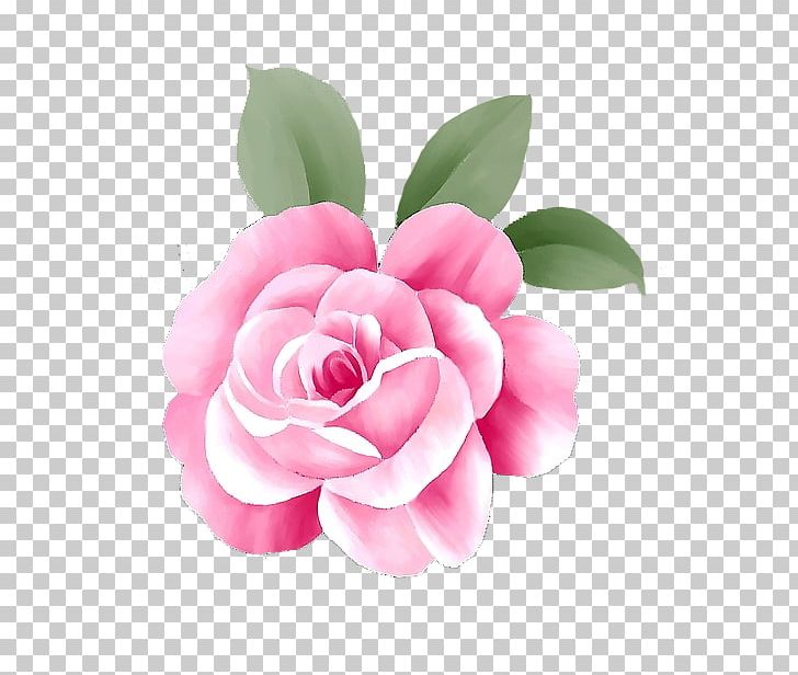 Rosa Chinensis Pink Flower Computer File PNG, Clipart, Artificial Flower, Camellia, Chinese, Creative Artwork, Creative Background Free PNG Download