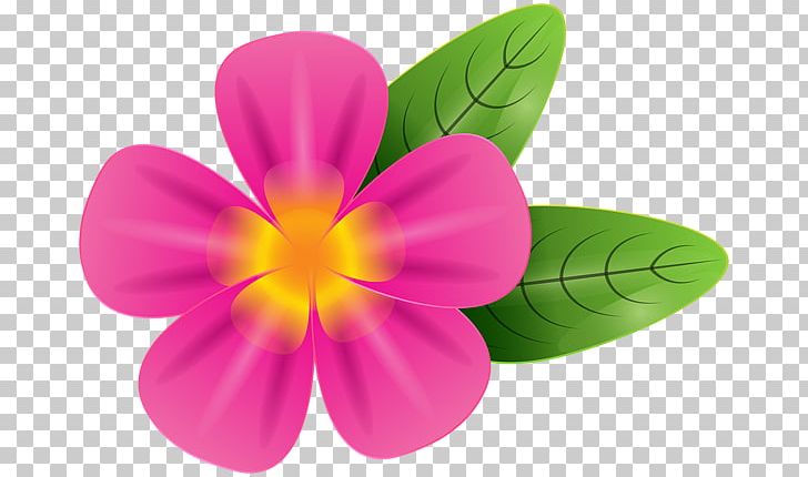 Desktop PNG, Clipart, Clip Art, Desktop Wallpaper, Flower, Flowering Plant, Flower Rose Free PNG Download