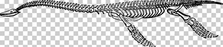 Plesiosauria Tyrannosaurus Dinosaur Plesiosaurus PNG, Clipart, Black And White, Bone, Carnivoran, Coloring Book, Dinosaur Free PNG Download