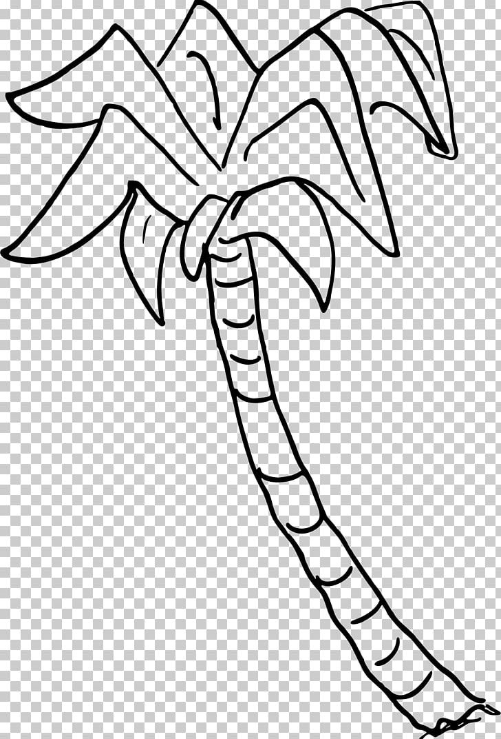 Tree Arecaceae Sabal Palm PNG, Clipart, Angle, Arecaceae, Artwork, Black And White, Branch Free PNG Download