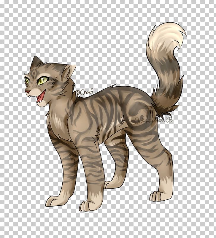Whiskers Kitten Domestic Short-haired Cat Tabby Cat Wildcat PNG, Clipart, Animals, Carnivoran, Cat, Cat Like Mammal, Domestic Short Haired Cat Free PNG Download