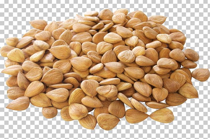 Apricot Kernel Nut Seed Almond PNG, Clipart, Almond Milk, Almond Nut, Almond Nuts, Almond Pudding, Almonds Free PNG Download