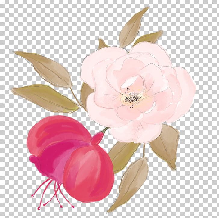 Centifolia Roses Watercolor Painting Flower Illustration PNG, Clipart, Blossom, Branch, Chinese, Flower Arranging, Flowers Free PNG Download