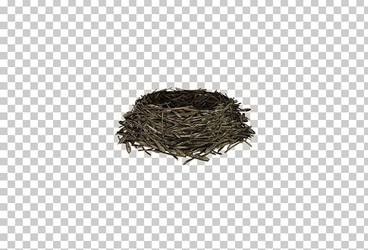 3d Computer Graphics Animals Photography PNG, Clipart, 3d Computer Graphics, Adobe Illustrator, Animals, Assam Tea, Bird Nest Free PNG Download