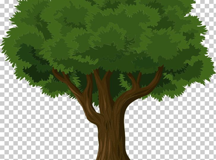 Ives Concert Park Tree Arborist Stump Grinder Pruning PNG, Clipart, Arborist, Branch, Company, Concert, Forest Free PNG Download