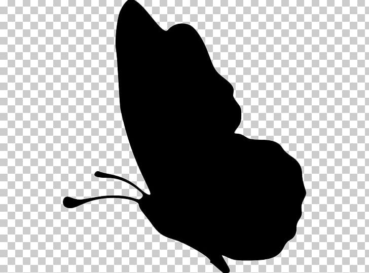 Silhouette Butterfly PNG, Clipart, Animals, Black, Black And White, Butterfly, Butterfly Effect Free PNG Download