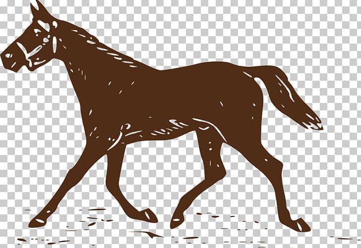 Stallion Equestrian Mule Mustang Foal PNG, Clipart, Bridle, Foal, Grand Theft Auto San Andreas, Halter, Horse Free PNG Download