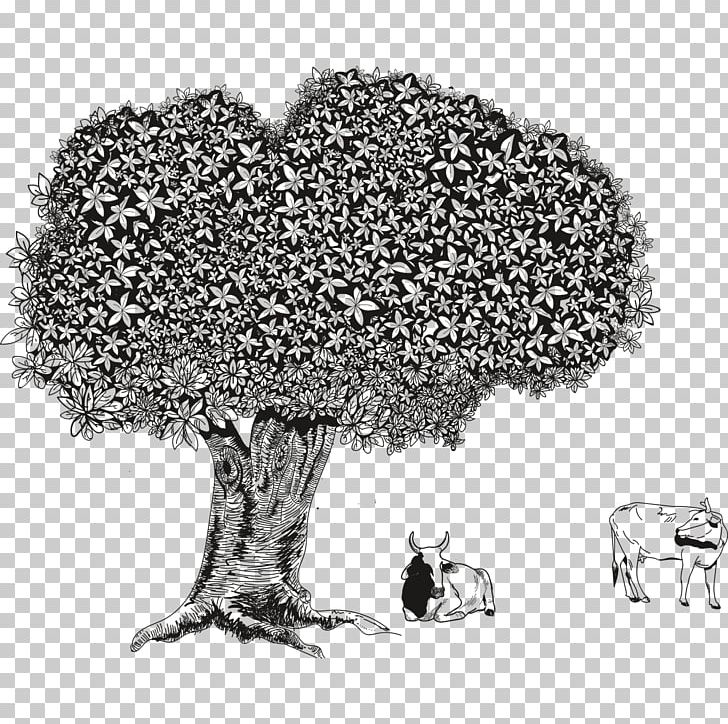 Branch Tree Drawing Portable Network Graphics PNG, Clipart, Black And White, Branch, Broadleaved Tree, Deciduous, Drawing Free PNG Download