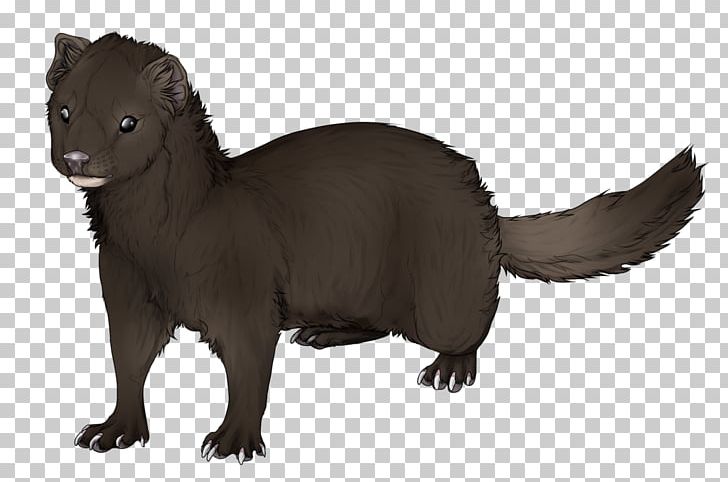 Ferret Mink Weasels Drawing PNG, Clipart, Animal Figure, Animals, Carnivoran, Cartoon, Drawing Free PNG Download