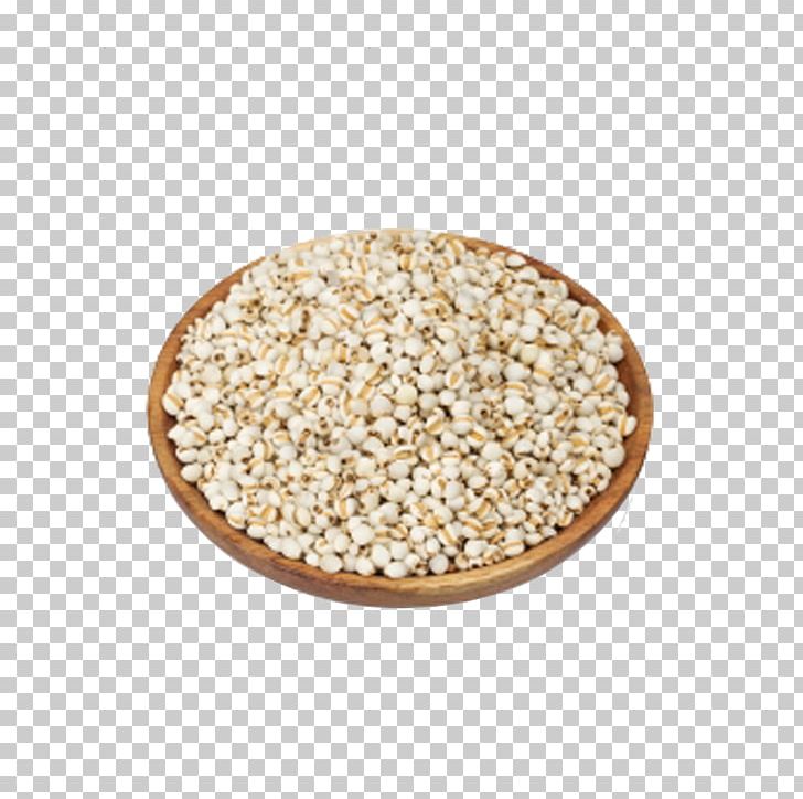 Barley Coix Euclidean Icon PNG, Clipart, Adlay, Barley, Barley Rice, Cereal, Coix Free PNG Download
