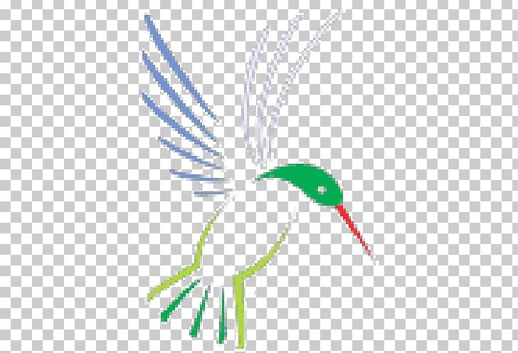 Beak Bird Feather Line Art PNG, Clipart, Animals, Artwork, Beak, Bird, Colibri Free PNG Download
