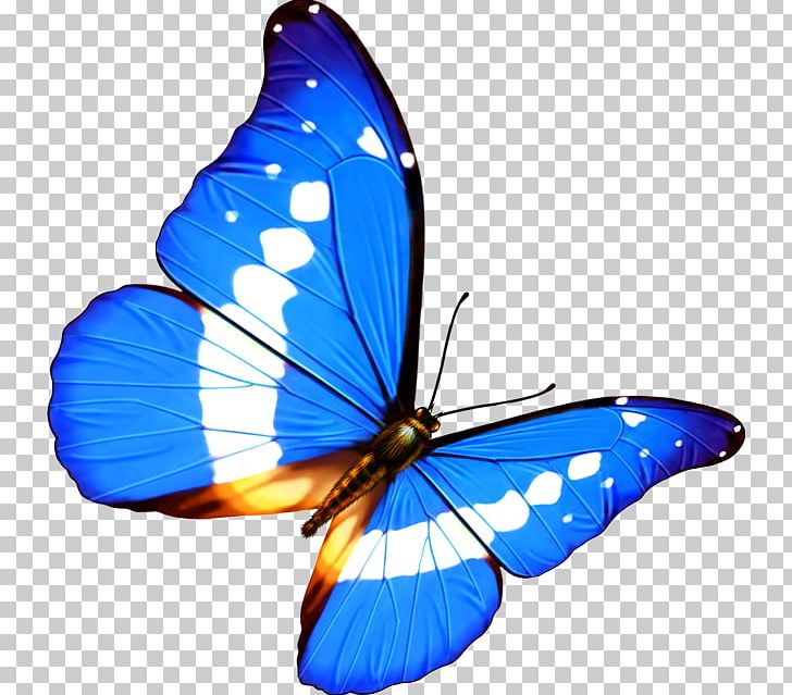 Butterfly Transparency And Translucency Android PNG, Clipart, Blue, Blue Butterfly, Brush Footed Butterfly, Butter, Butterflies Free PNG Download